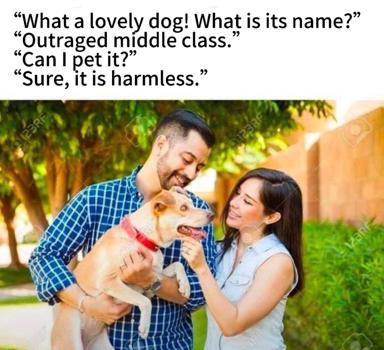 Stock photo of a smiling couple with a dog subverted by absurdist text: the dog is named "Outraged middle class."