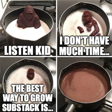 A gorilla made of chocolate slowly melts in a bowl of milk, its wisdom lost before it can be shared — a darkly funny meditation on impermanence and the futility of advice.