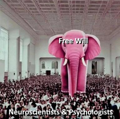 Giant hot-pink elephant materializes in a neoclassical cathedral before a crowd, captioned 'Free Will' vs. 'Neuroscientists & Psychologists' — absurdist take on determinism.