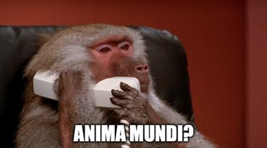 A bemused primate holds a blank white card against a deep rust background, captioned with a befuddled Latin question.