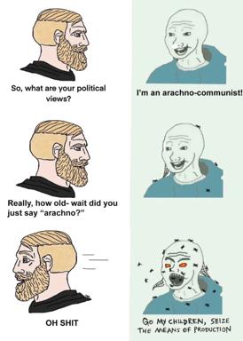 Four-panel wojak meme about political ideology escalation: an increasingly unhinged figure reveals they're an arachno-communist, descends into spider-infested madness.