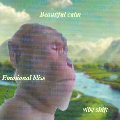 Wojak head gazing at pastoral landscape; labels claim emotional authenticity but undercut with "vibe shift" — meme about gap between aesthetic calm and actual emotional state