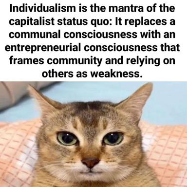 Political economy meme: a text block on individualism and capitalism paired with a skeptical tabby cat's dismissive face.