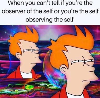 Existential meme: two Fry profiles face each other against a fractal psychedelic vortex, riffing on the observer/observed paradox of consciousness.