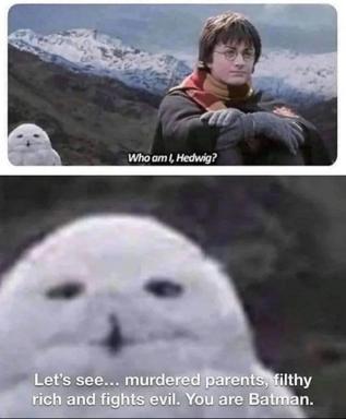 Harry Potter realizes he's actually Batman, courtesy of Hedwig's diagnostic monologue about orphaned billionaires who fight evil.