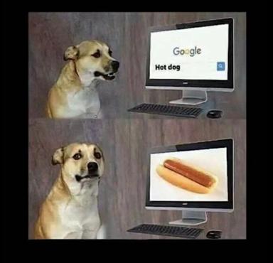 A dog Googles "hot dog" and is confused when it finds food instead of a fellow dog. Classic semantic-confusion wordplay.