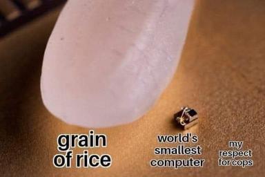 Scale comparison meme using a fingernail and tiny objects; anti-police sentiment humor.