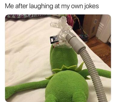 Kermit the Frog, unimpressed yet committed, demonstrating the exact emotional trajectory of laughing at your own mediocre jokes.