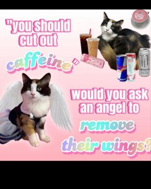 Two winged cats propose removing angels' wings in exchange for caffeine — a deadpan riff on modern energy-drink culture and the need to sacrifice anything for an espresso.