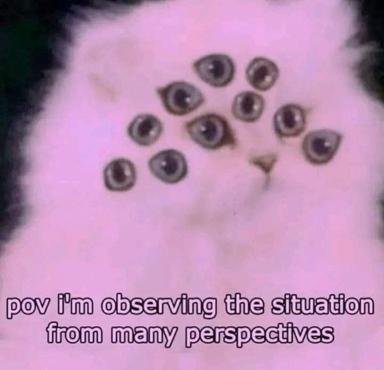 A white cat with multiple pairs of dark eyes painted across its face floats in a pink haze, claiming to "observe the situation from many perspectives."