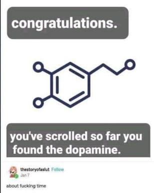 A meme congratulating the obsessive scroller for reaching dopamine-molecule enlightenment at the bottom of the feed.