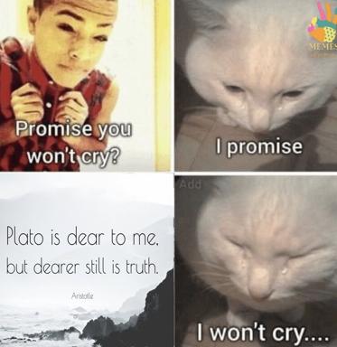 Four-panel emotional betrayal: a child extract a promise from a cat to stay composed, but an Aristotle-Plato quotation breaks its resolve.