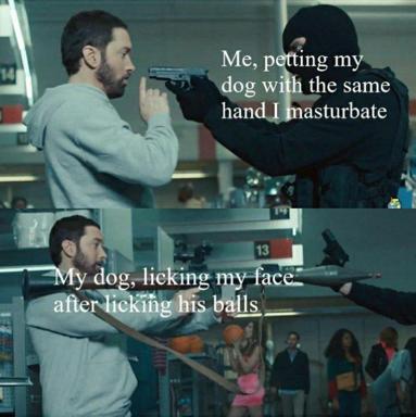 Two-panel absurdist meme about hand hygiene and pets, using an action-film screenshot sequence.