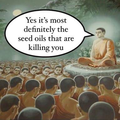 A robed sage addresses a crowd of meditating monks with the deadpan diagnosis: "Yes it's most definitely the seed oils that are killing you"—deflecting health anxiety onto wellness pseudoscience.