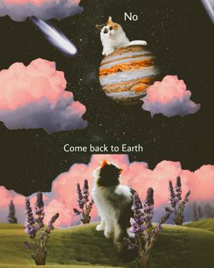 A two-panel surreal meme: a white-and-ginger cat perched atop Jupiter refuses to return home, communing with a sister figure in an alien landscape of lavender flowers and pink clouds.