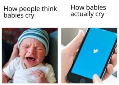 Two-panel meme contrasting how adults imagine babies cry (dramatic, theatrical) versus reality (passive, void-like, represented as a Twitter loading screen).