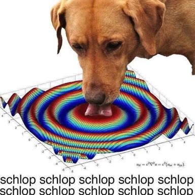 A golden Labrador licks a rainbow 3D heat-map of the wave equation, accompanied by rhythmic "schlop" text.