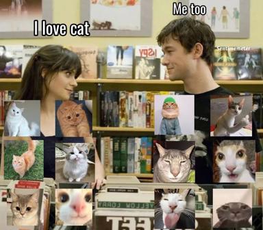 Two people bonding over shared cat obsession; overwhelmed by feline expressions layered across the scene