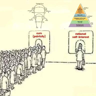 Academic meme contrasting collective suffering against the fantasy of rational self-interest—Maslow and graph theory meet crowd psychology.