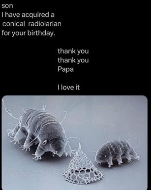 Father gifts his son a microscopic radiolarian for his birthday; son responds with earnest gratitude. Absurdist humour via SEM microscopy.
