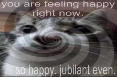 Hypnotic cat meme asserting the viewer is happy through repeated affirmation and visual disorientation.