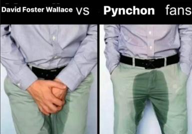 Two-panel literary fandom macro: DFW maximalism (tight fist) vs Pynchon cool detachment (open palm).