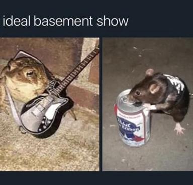 A two-panel meme comparing an "ideal basement show" scenario: left panel shows a toad playing electric guitar; right panel shows a rat with a beer can. The contrast jokes about unrealistic expectations versus grungy reality.