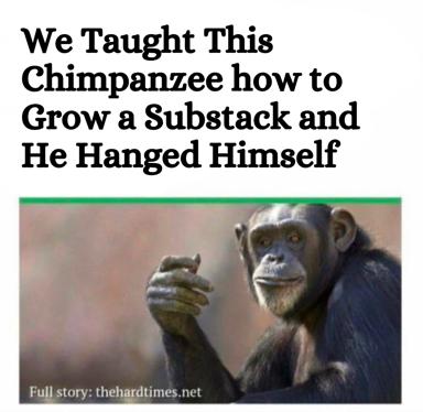 Darkly absurdist growth-hacking meme: taught a chimp Substack strategy, he hanged himself. The Hard Times.
