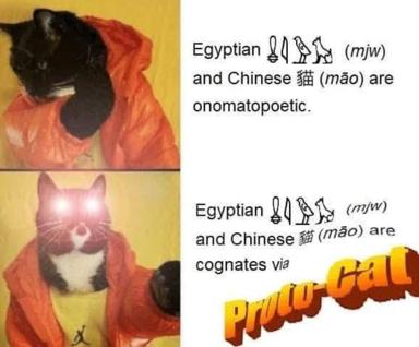 Two-panel cat meme: Egyptian and Chinese cat-words are onomatopoetic—no wait, they're cognates. Psych!