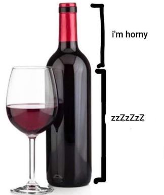 A red wine bottle and half-filled glass paired with a crude vertical bracket annotating "i'm horny" and "zzzzzzz" — a deadpan joke about wine's contradictory effects.